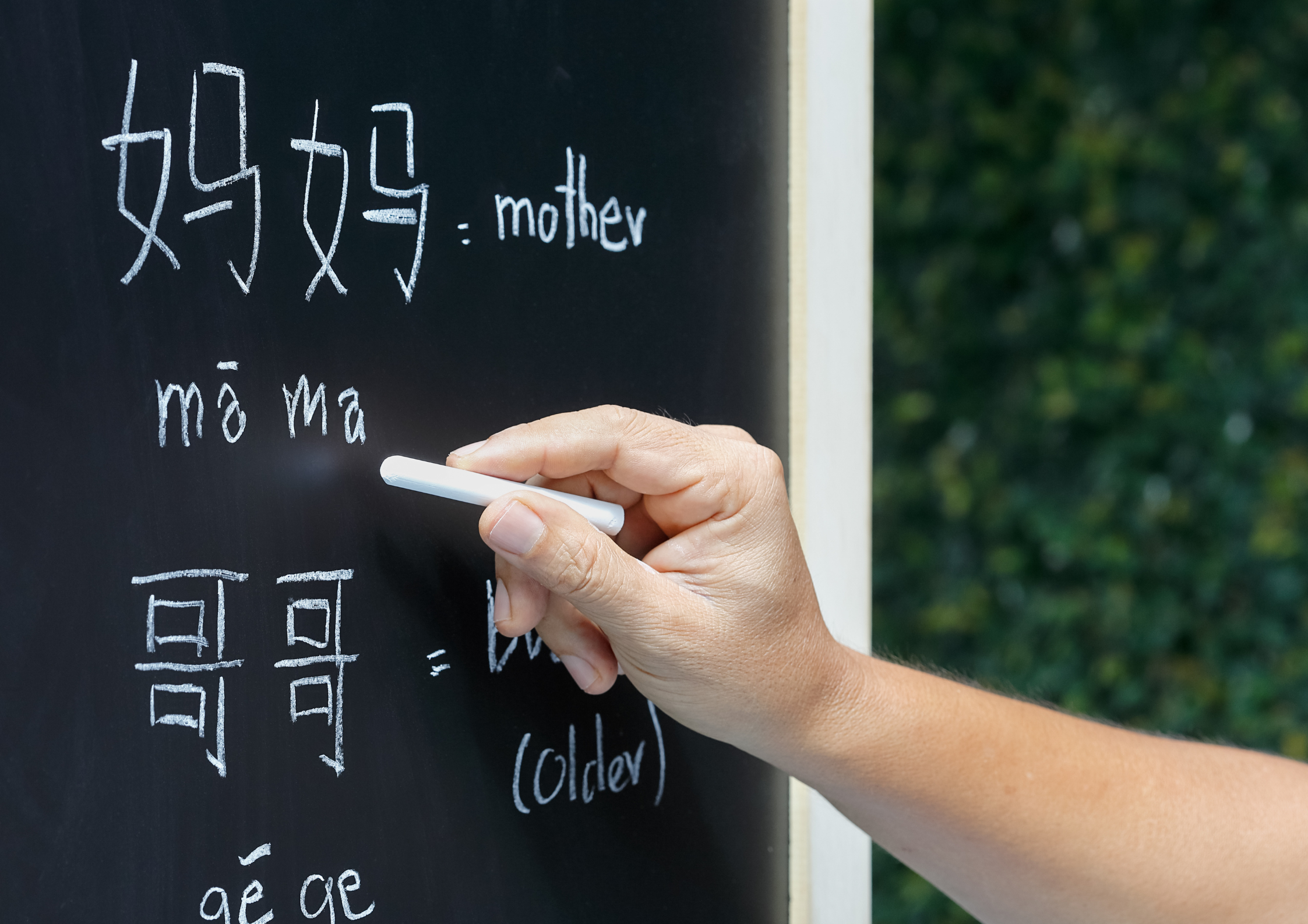 primary chinese tuition